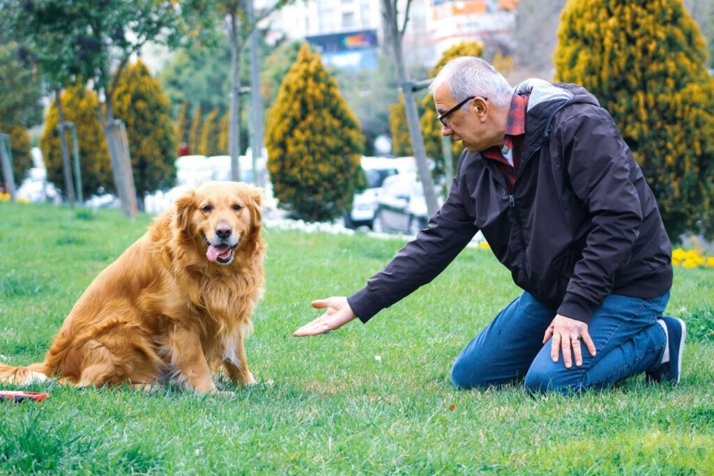benefits of pet therapy for seniors