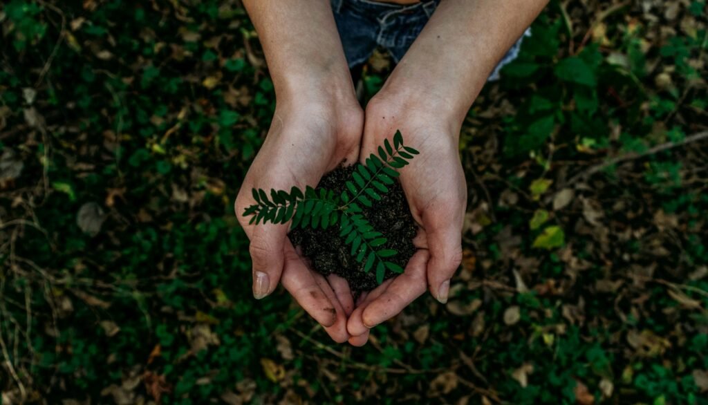 sustainable wellness