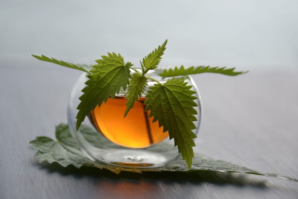 nettle tea and iron