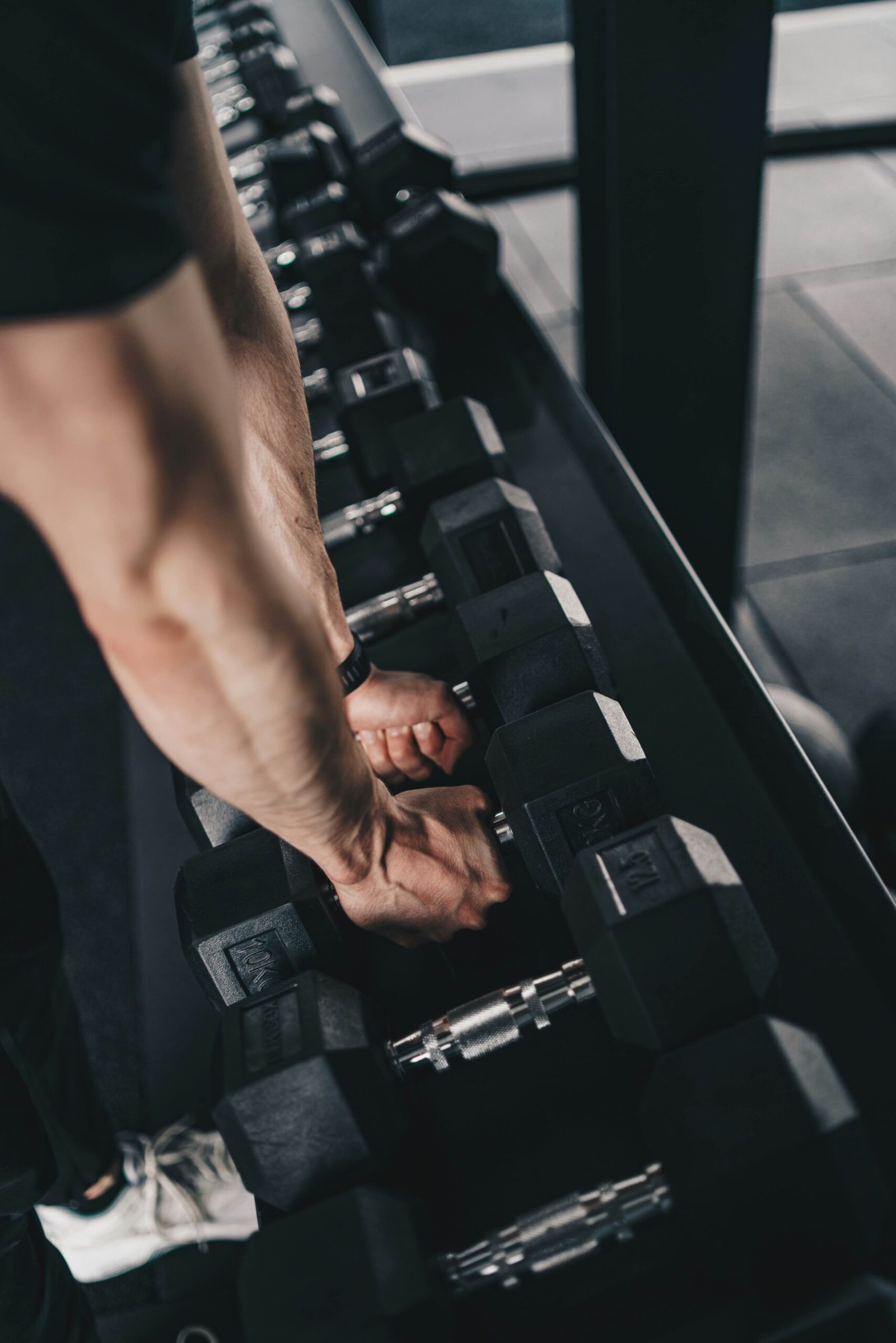 full body dumbbell workout